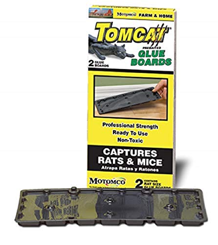 Motomco Rodent Tomcat Rat Bait Glue Board 12 pack - rodenticidecanada.comPestrodenticidecanada.com048745324319glueboard