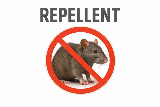 Rodent Repellents & Deterrents