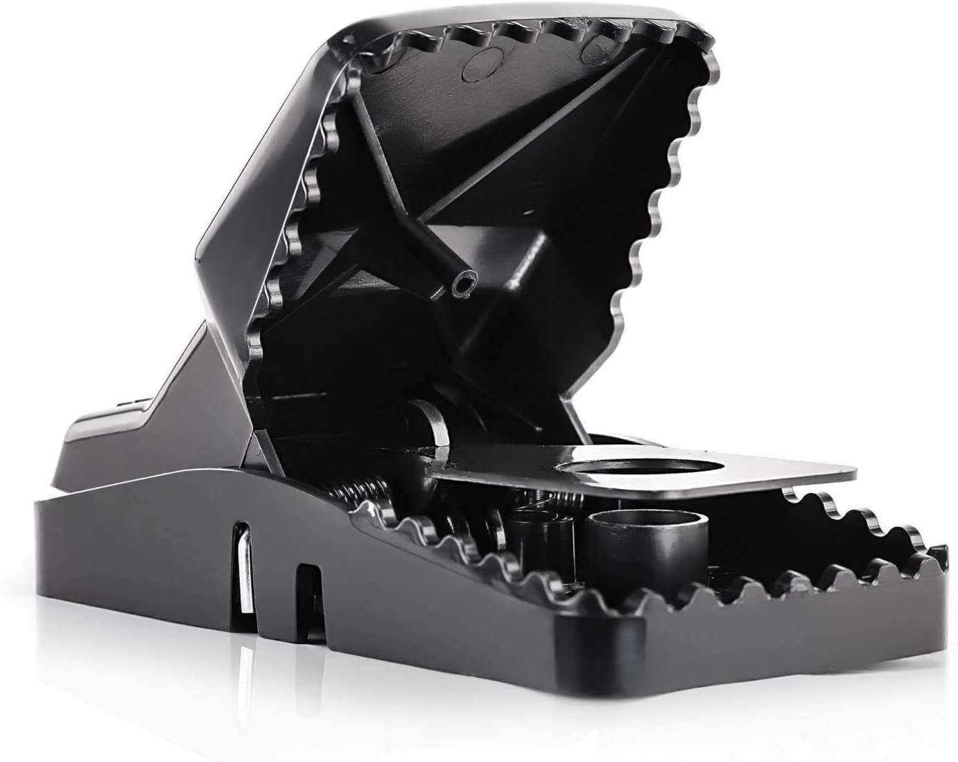 Traps Stations & boards - rodenticidecanada.com