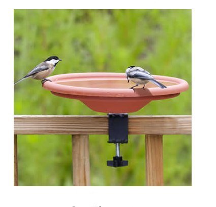 Farm Innovators Heated Birdbath Deicer 60Watts (Deck Mount) - rodenticidecanada.comPET_SUPPLIESrodenticidecanada.com85045000604KAN - 216 - 451