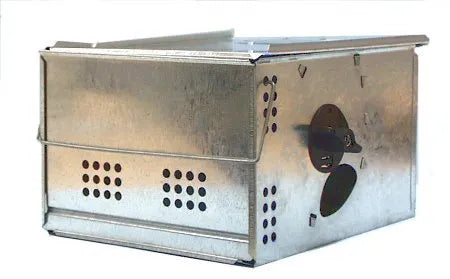 Live - Mouse - Automatic - rodenticidecanada.comRodenticidesrodenticidecanada.com5299784675619636 - 007