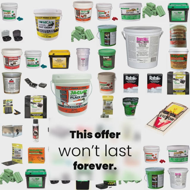 載入影片： Rodenticides / Raticides Canada products for Rat and/or mice problems infestations Motomco Tomcat Hawk Jaguar 4.1 kg