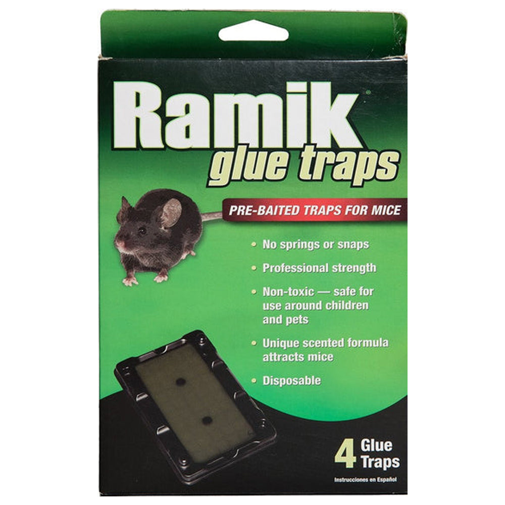 Mouse - Glue Trap