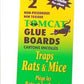 Motomco Rodent Tomcat Rat Bait Glue Board 12 pack - rodenticidecanada.comPestrodenticidecanada.com048745324319glueboard
