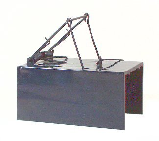 Pocket Gophers - rodenticidecanada.comGophersrodenticidecanada.com6048941253103287 - 002