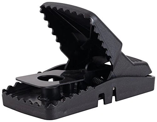 Tomcat Rat Snap Trap - 2 Traps - rodenticidecanada.comLawn & Patiorodenticidecanada.com013415362434Rat - snap