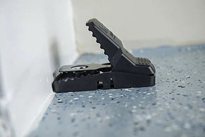 Tomcat Rat Snap Trap - 2 Traps - rodenticidecanada.comLawn & Patiorodenticidecanada.com013415362434Rat - snap